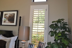 Window Treatment