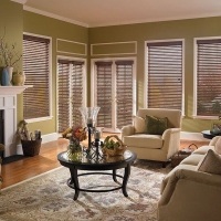 Living Room Window Treatment Design