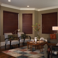 Living Room Window Treatment Orange County CA