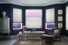 Bathroom Window Blinds