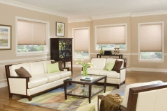 Home Window Treatment