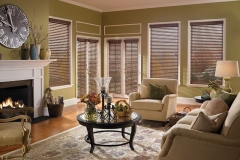 Living Room Window Treatment Design