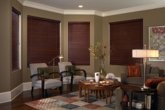 Living Room Window Treatment Orange County CA