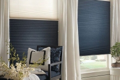 Window Blinds Product
