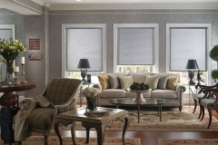 Window Blinds