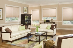 Window Treatment